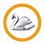 Swan homepage